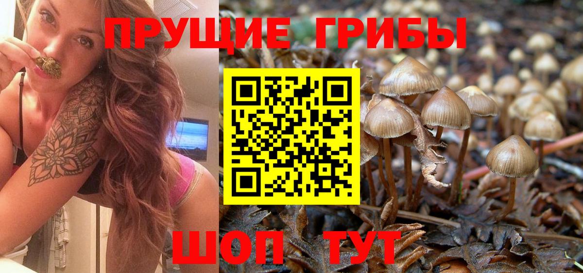 Галлюциногенные грибы MAGIC MUSHROOMS  Галлюциногенные грибы MAGIC MUSHROOMS  Мурино  дарнет шоп  Вход с VPN 